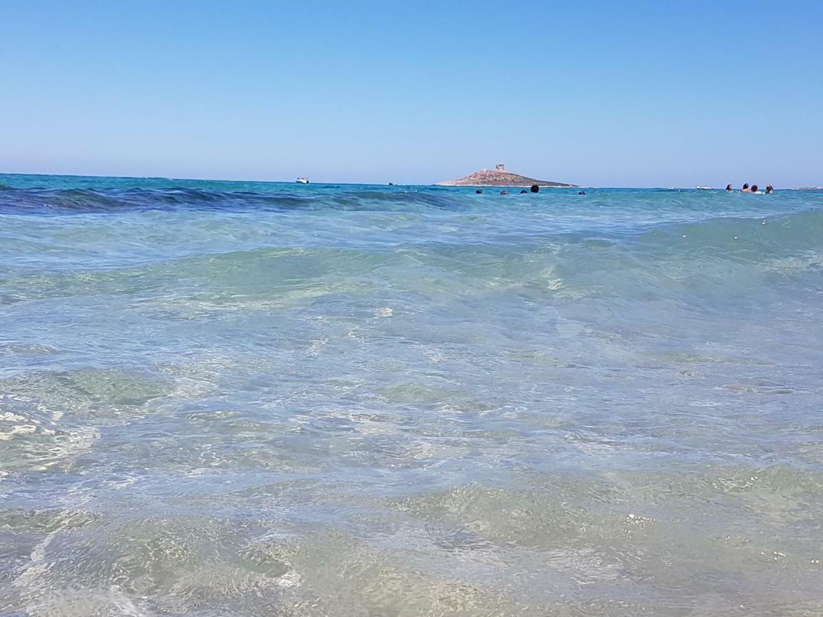 Villa La Rosa Dei Venti Isola delle Femmine Exterior foto
